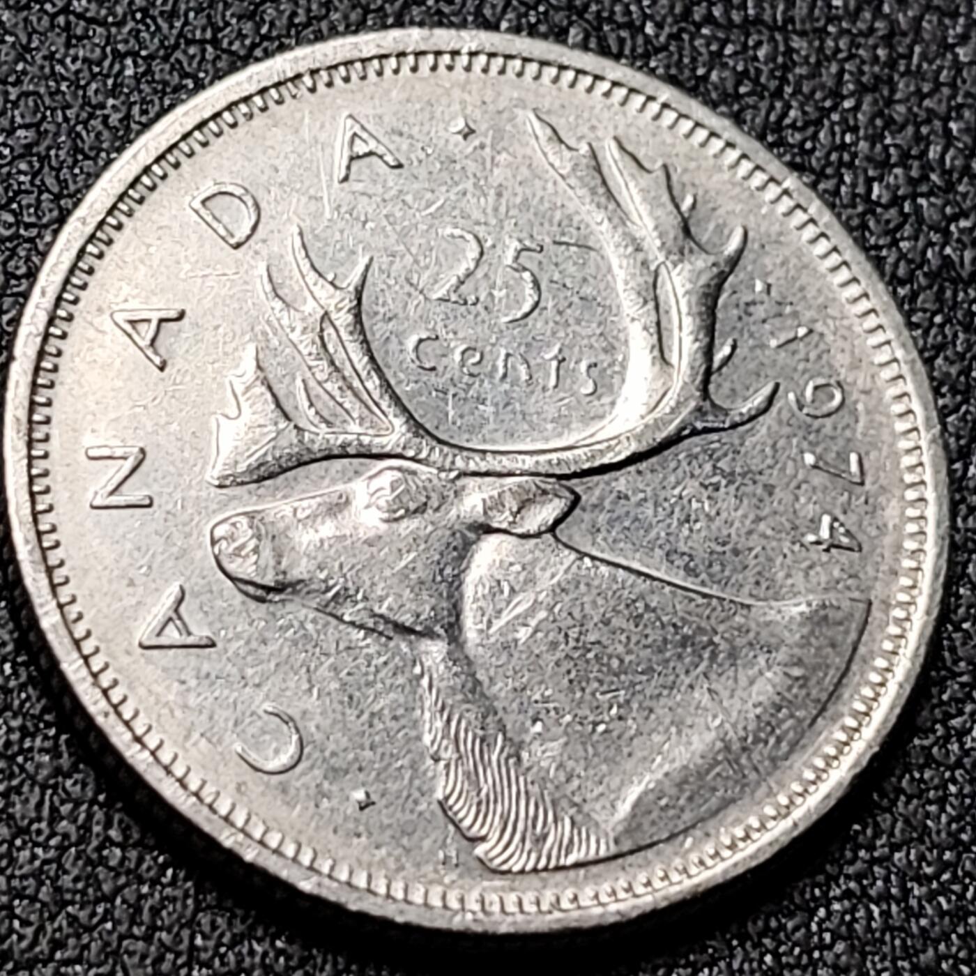 泉币菌-第142场-精品福利场 。