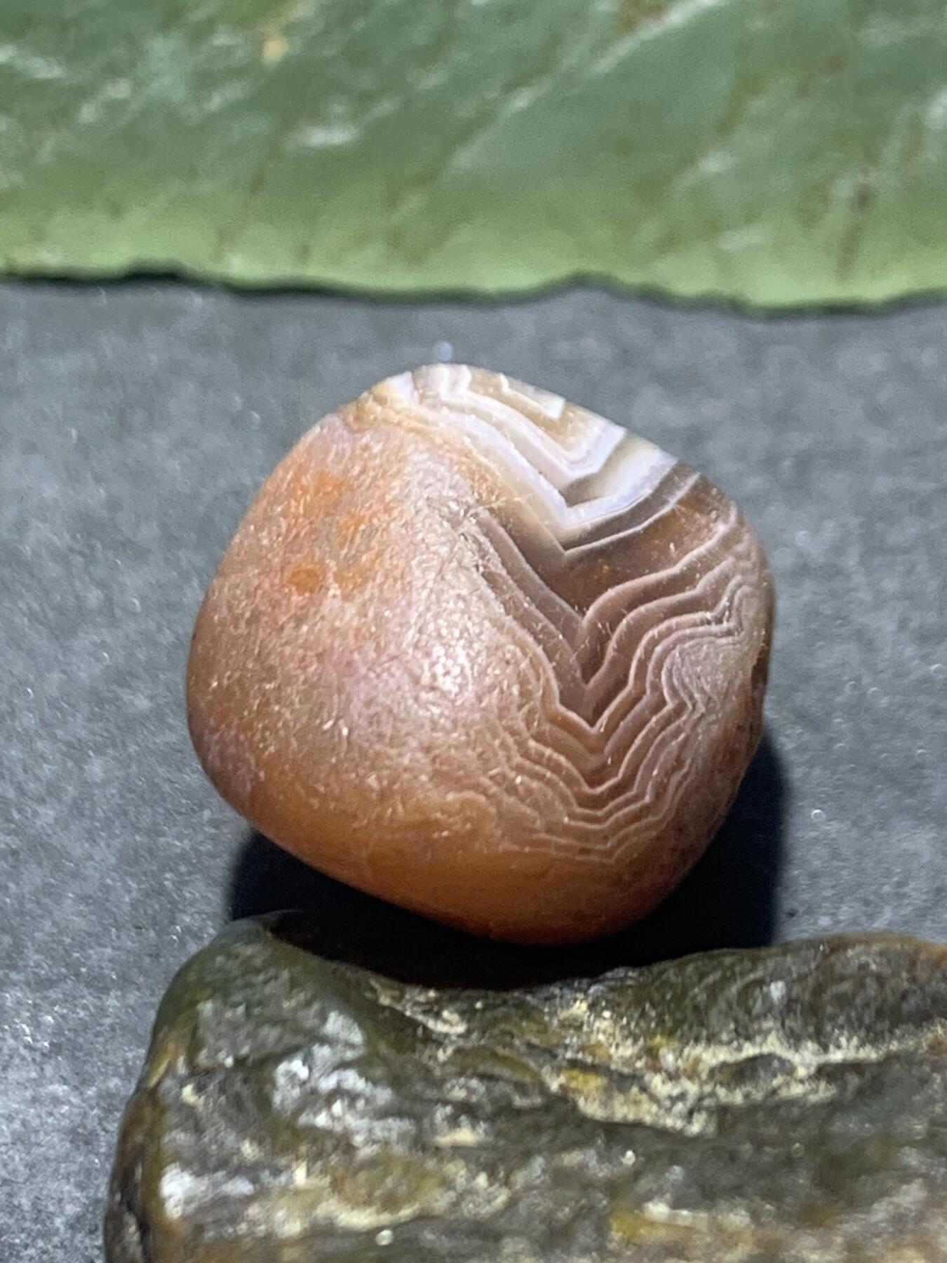 精美天眼纹水冲籽川料南红玛瑙原石一颗，