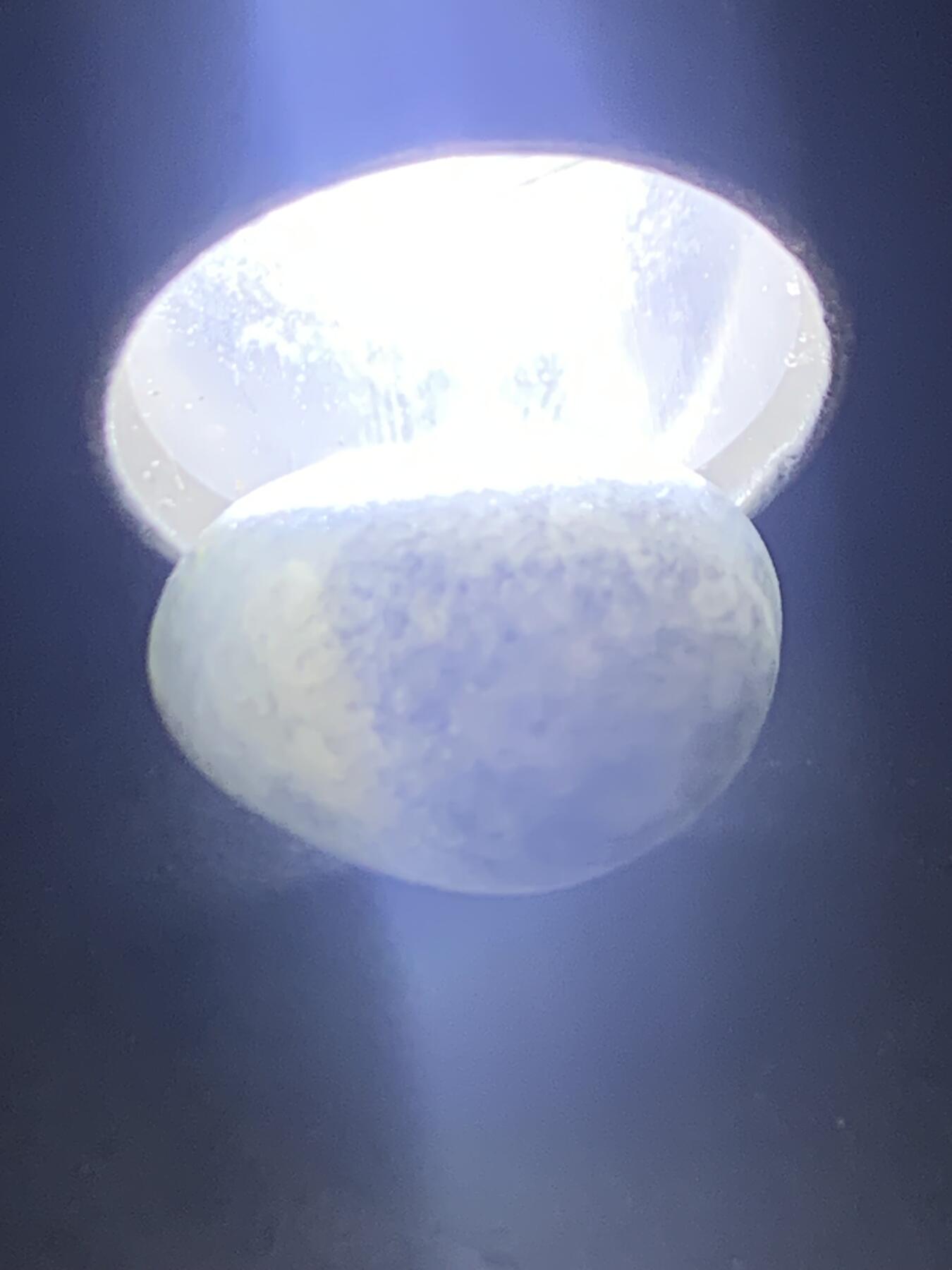 精美和田玉青花小独籽原石一颗，