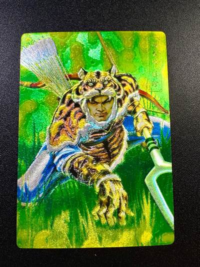 NO.17 好又多金牌大场，新店点关注不迷路！每周一站式配齐，方便凑单！（周6晚8点截拍，卖家送拍0抽成！） - 鼎好卡牌 自制小浣熊解珍粗闪