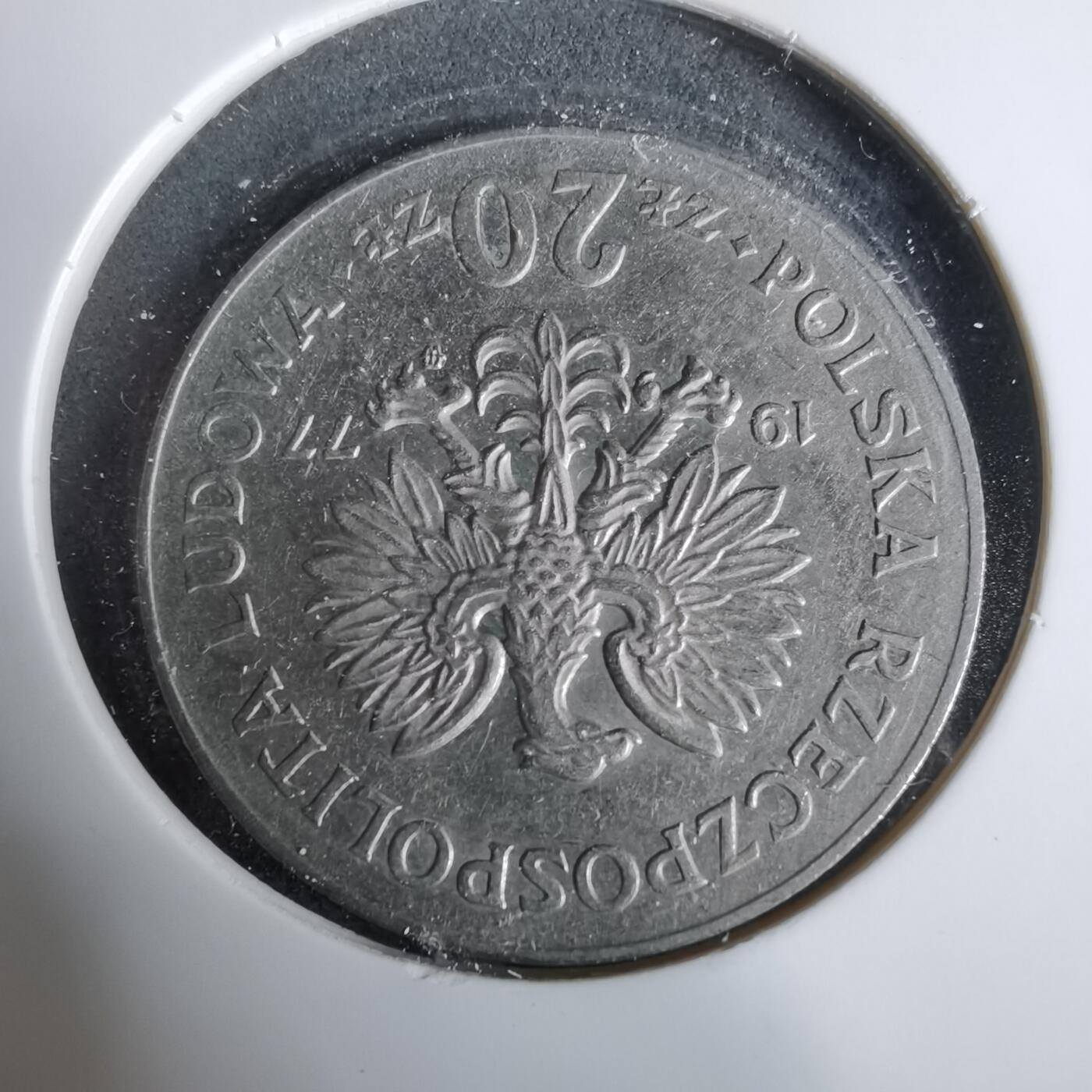 沼泽如烟--第925场