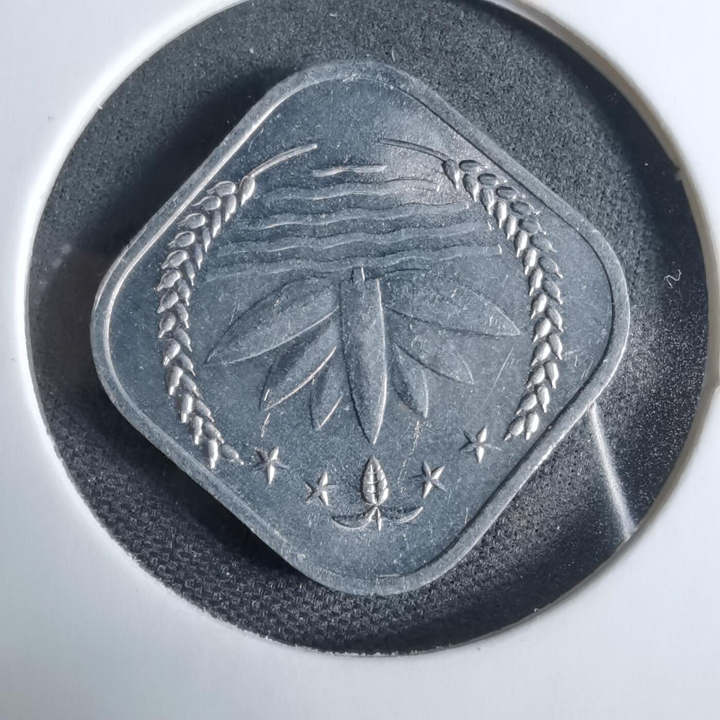 沼泽如烟--第925场