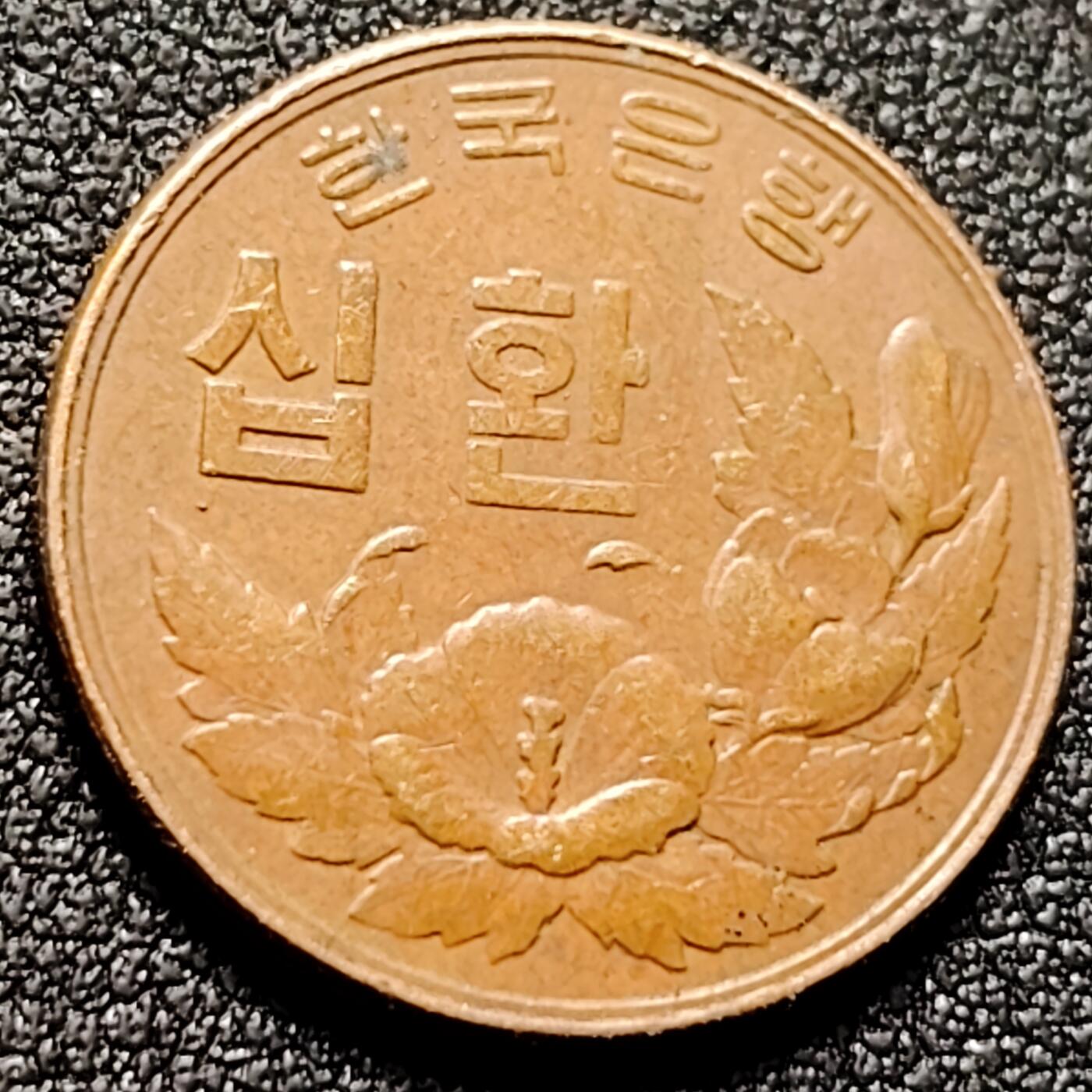 泉币菌-第142场-精品福利场 。