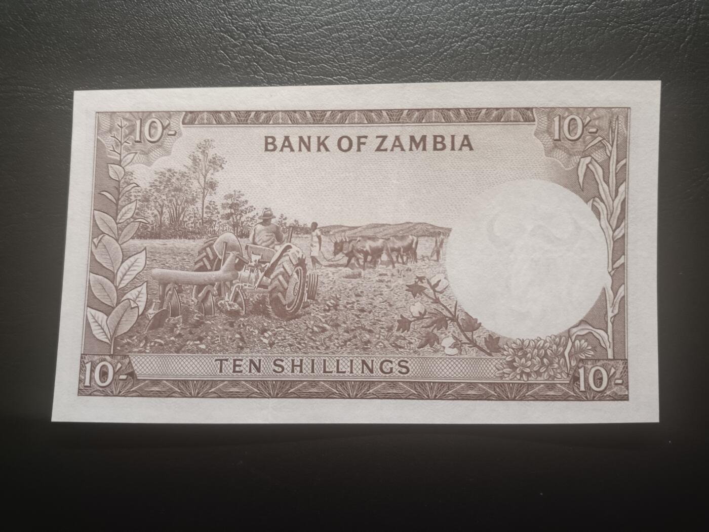 2025十二月第二期，总207期 赞比亚1964版10先令AUNC首冠A/1千位号3125无47，查氏拟啄木鸟和农耕，稀有的独立后首版