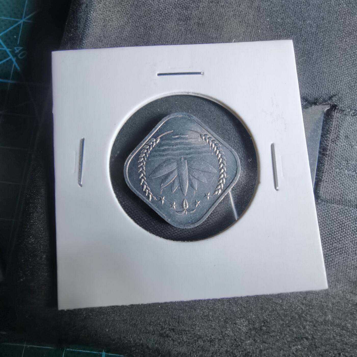 沼泽如烟--第925场