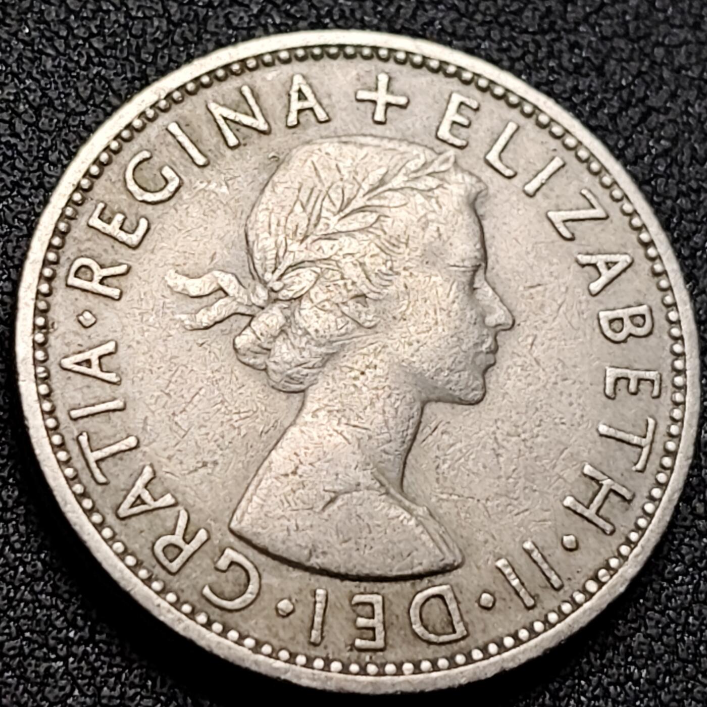 泉币菌-第142场-精品福利场 。