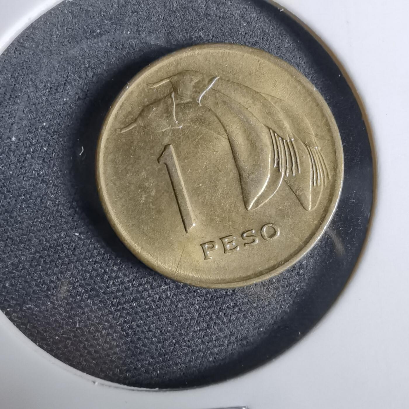 沼泽如烟--第925场 乌拉圭1969年1比索