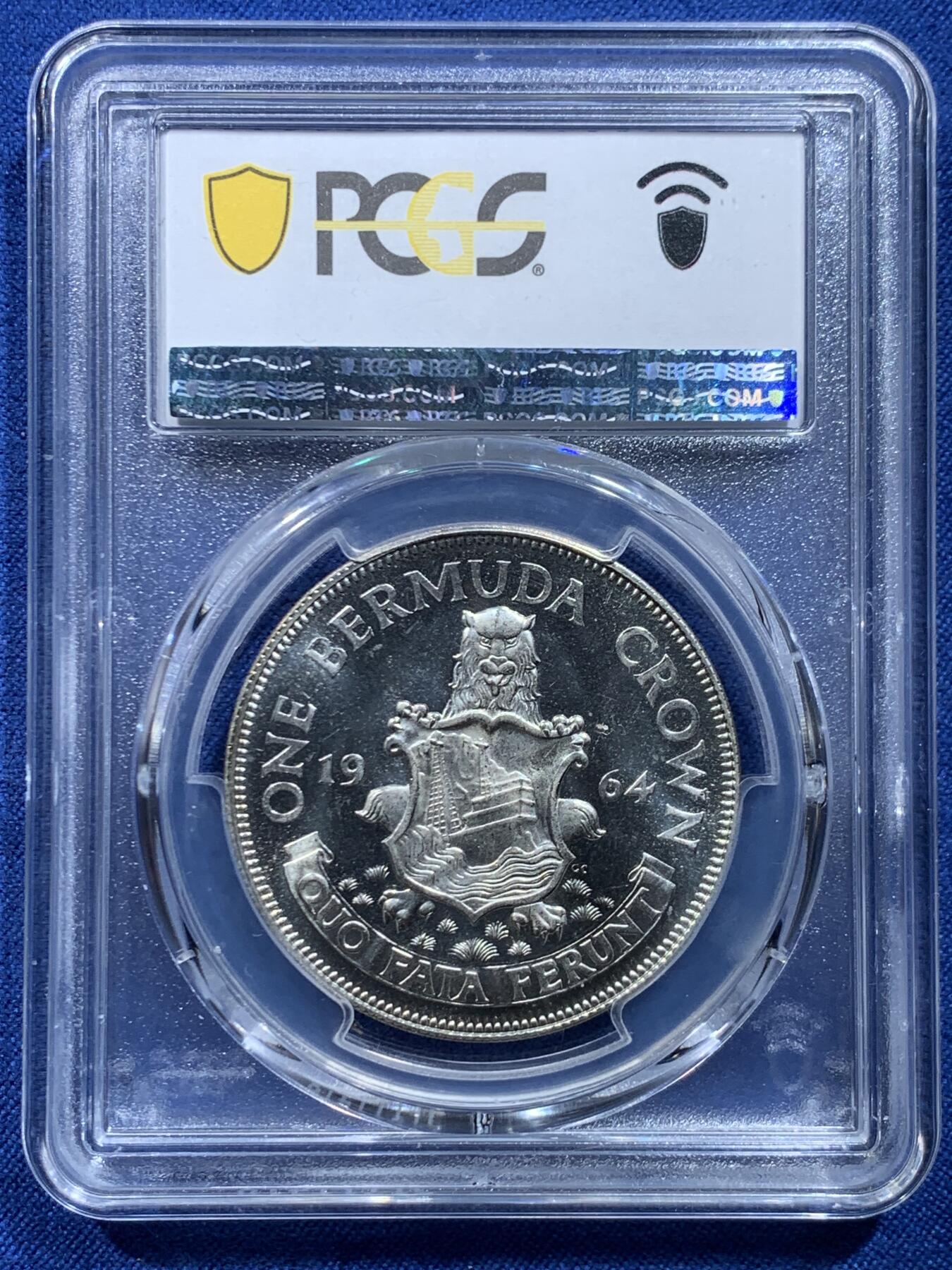 《竞宝斋》第446场 周日，周一，2场连拍 （全场包邮）