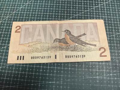 轻松集币无压力 - 加拿大老版2元