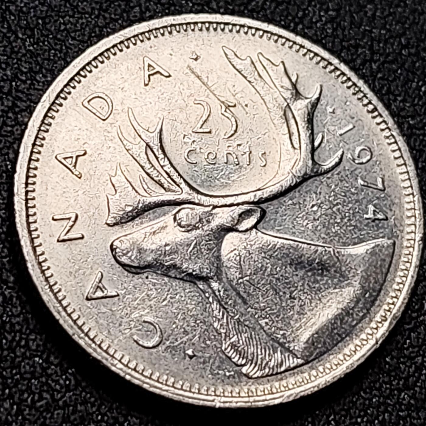 泉币菌-第142场-精品福利场 。