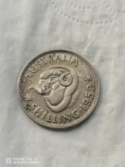 外国银币 - 52年澳大利亚绵羊1先令