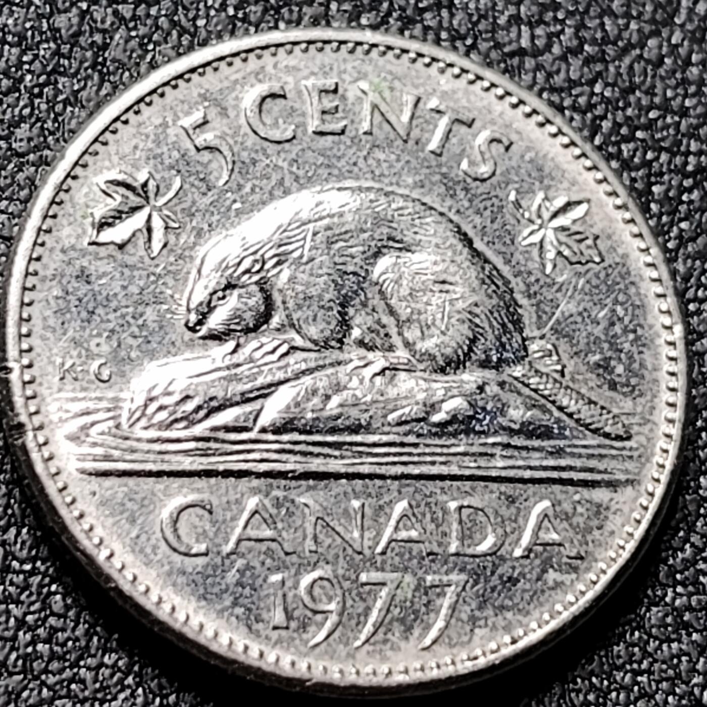 泉币菌-第142场-精品福利场 。