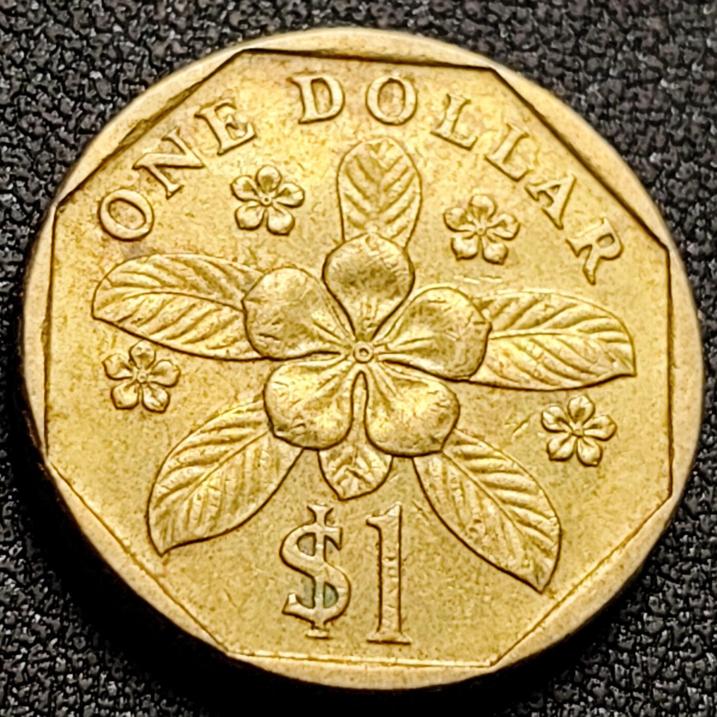 泉币菌-第142场-精品福利场 。