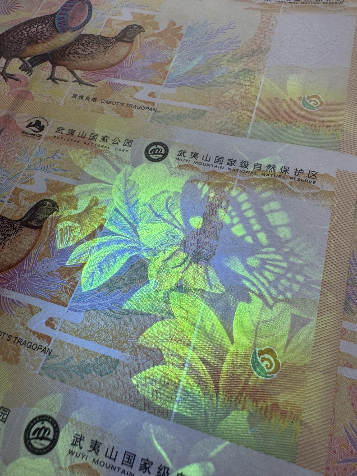 2025第27场（总第227期）：精品连体纪念券专场 二十四连体/尾号729 南钞世界双遗产“武夷山”纪念券豪华水晶炮筒装UNC（发行价2980元）