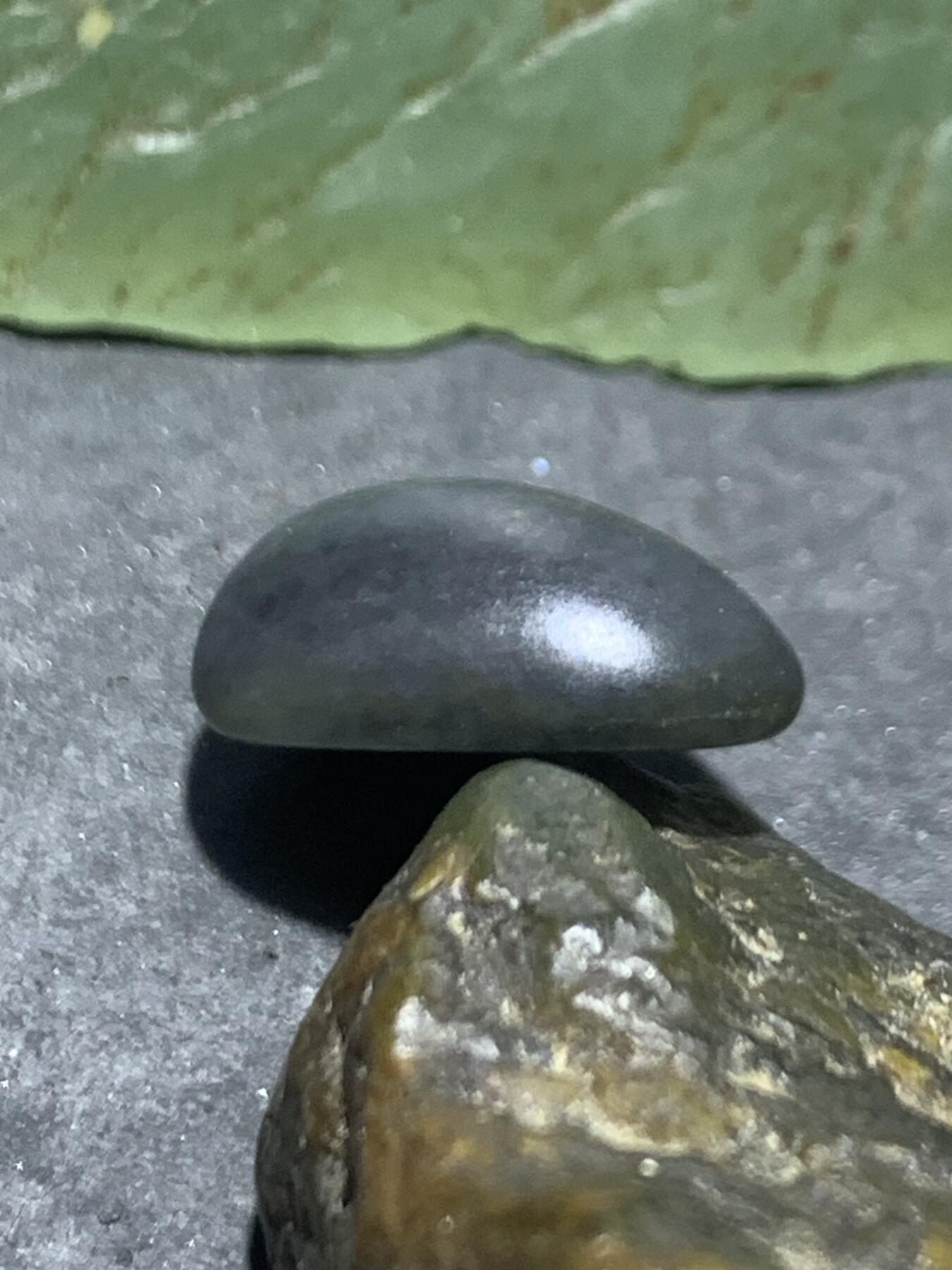 精美和田玉青花小独籽原石一颗，