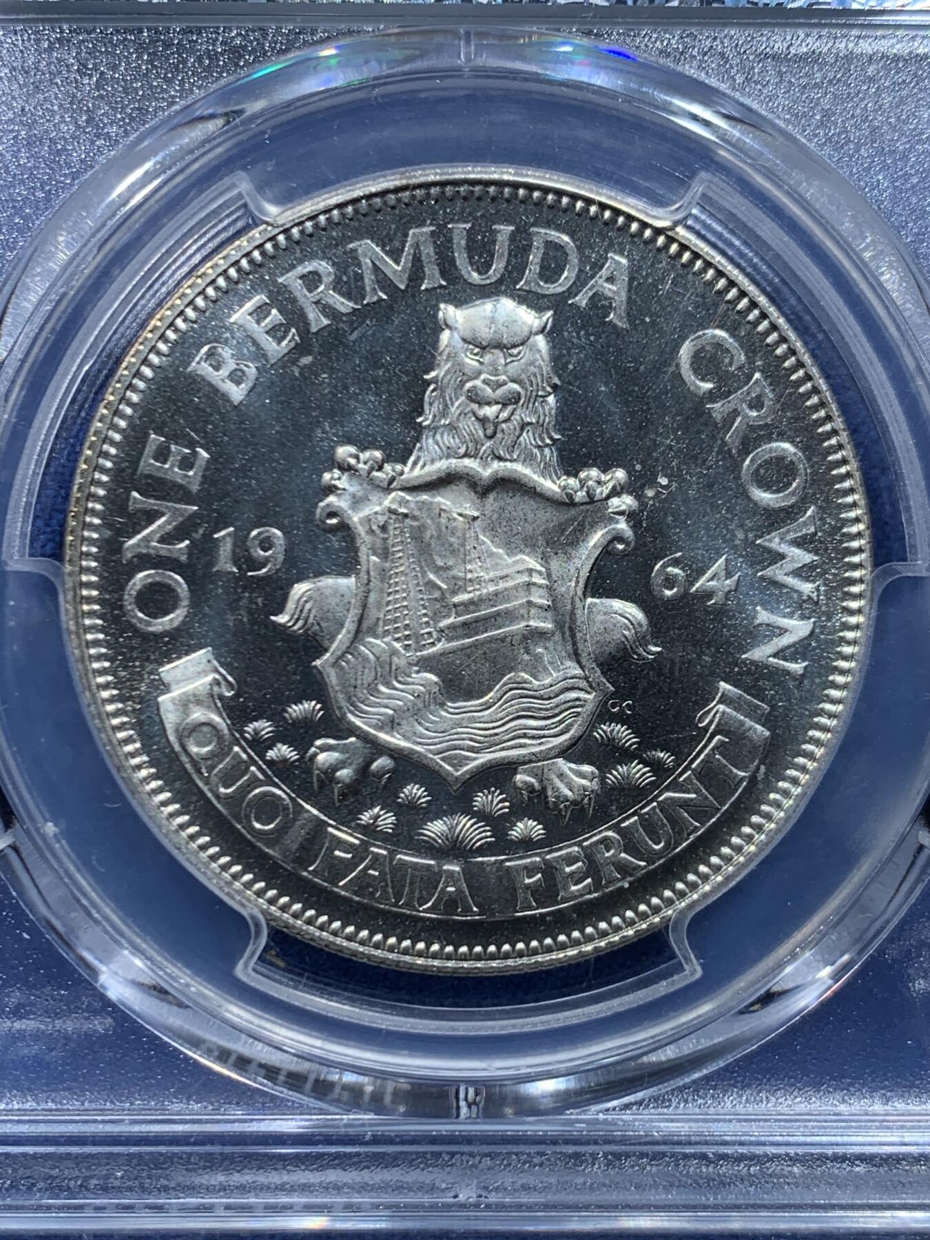 《竞宝斋》第446场 周日，周一，2场连拍 （全场包邮）