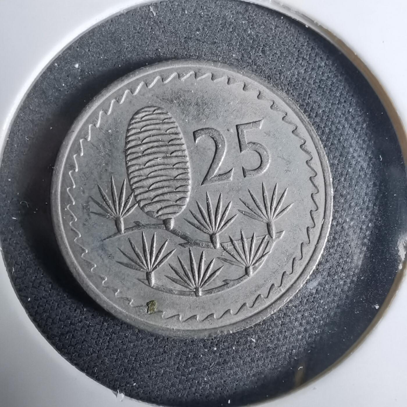 沼泽如烟--第925场 塞浦路斯1963年25米尔