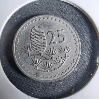 沼泽如烟--第925场 - 塞浦路斯1963年25米尔