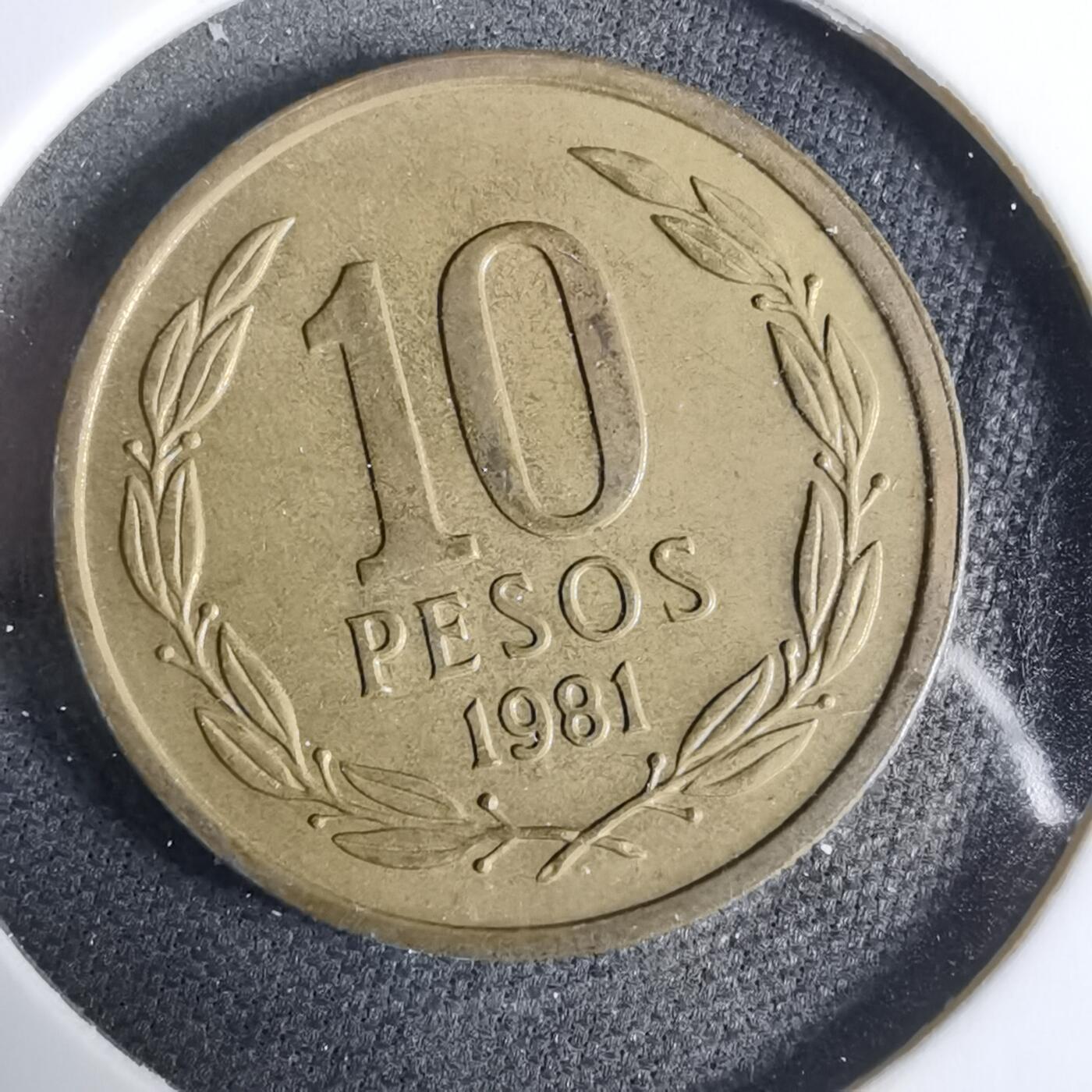 沼泽如烟--第925场 智利1981年10比索