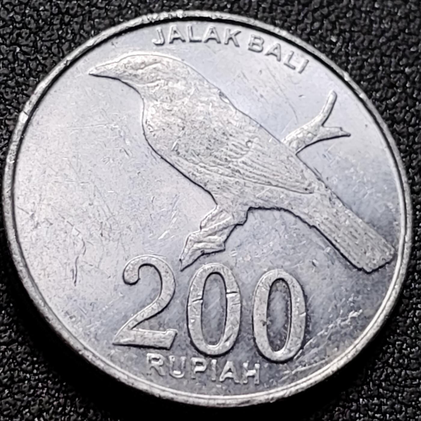 泉币菌-第142场-精品福利场 .