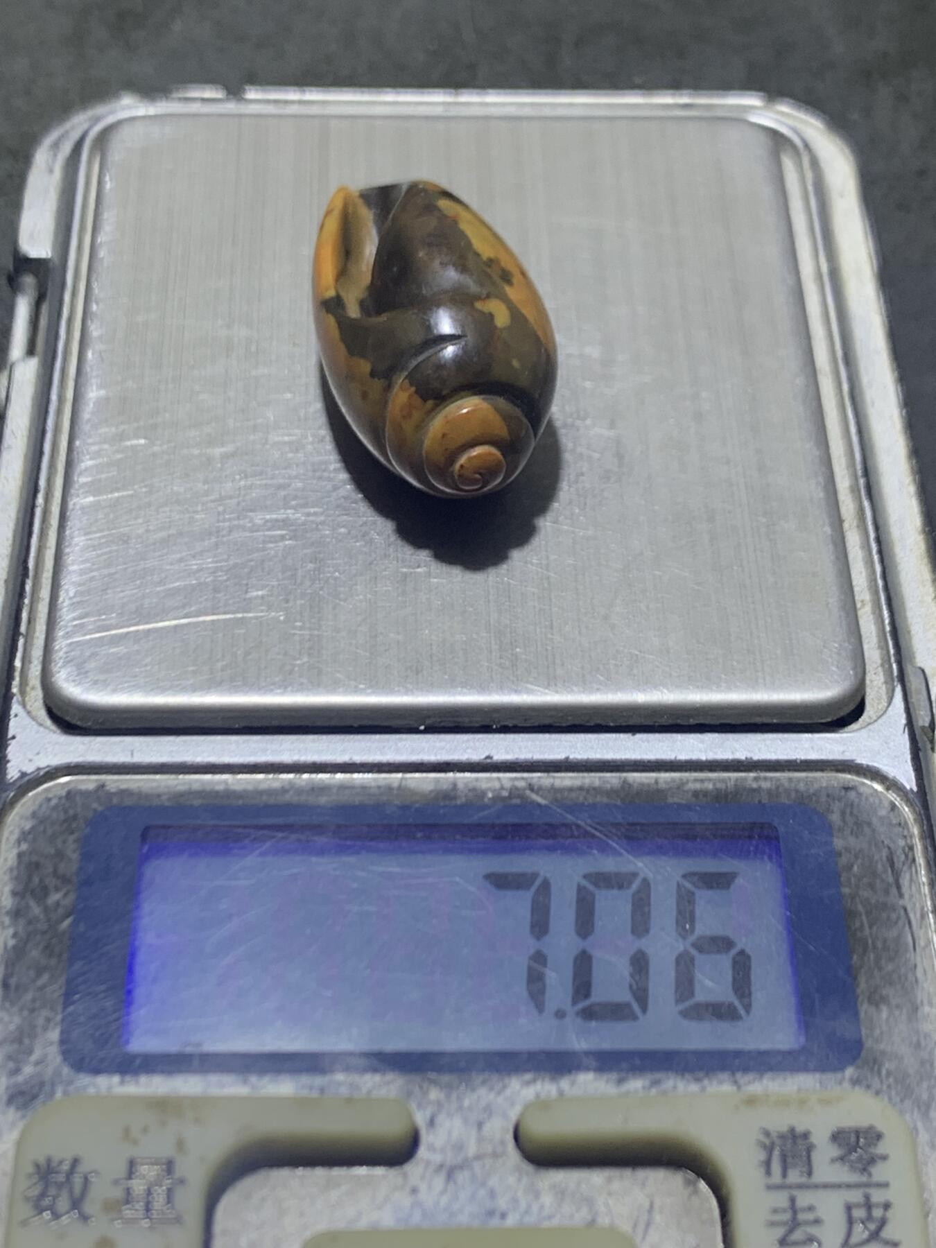 精美战国红玛瑙手工雕刻海螺吊坠一个！