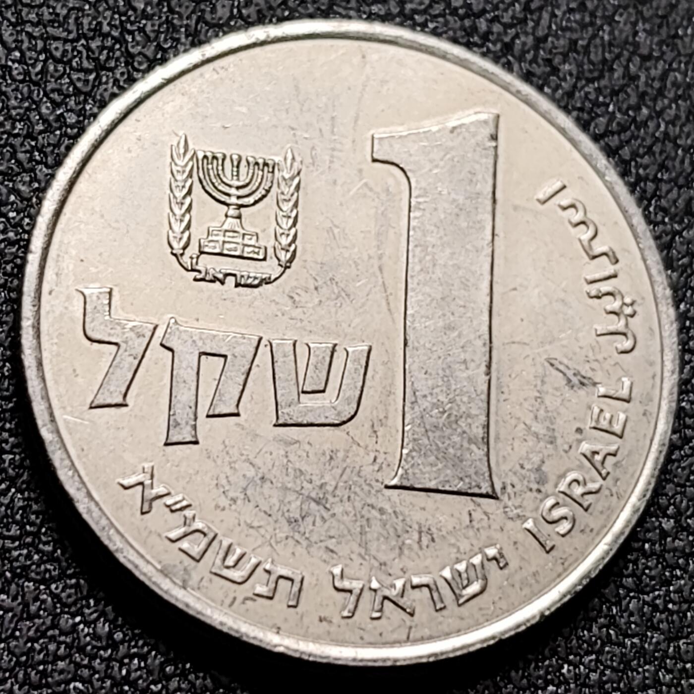 泉币菌-第142场-精品福利场 。