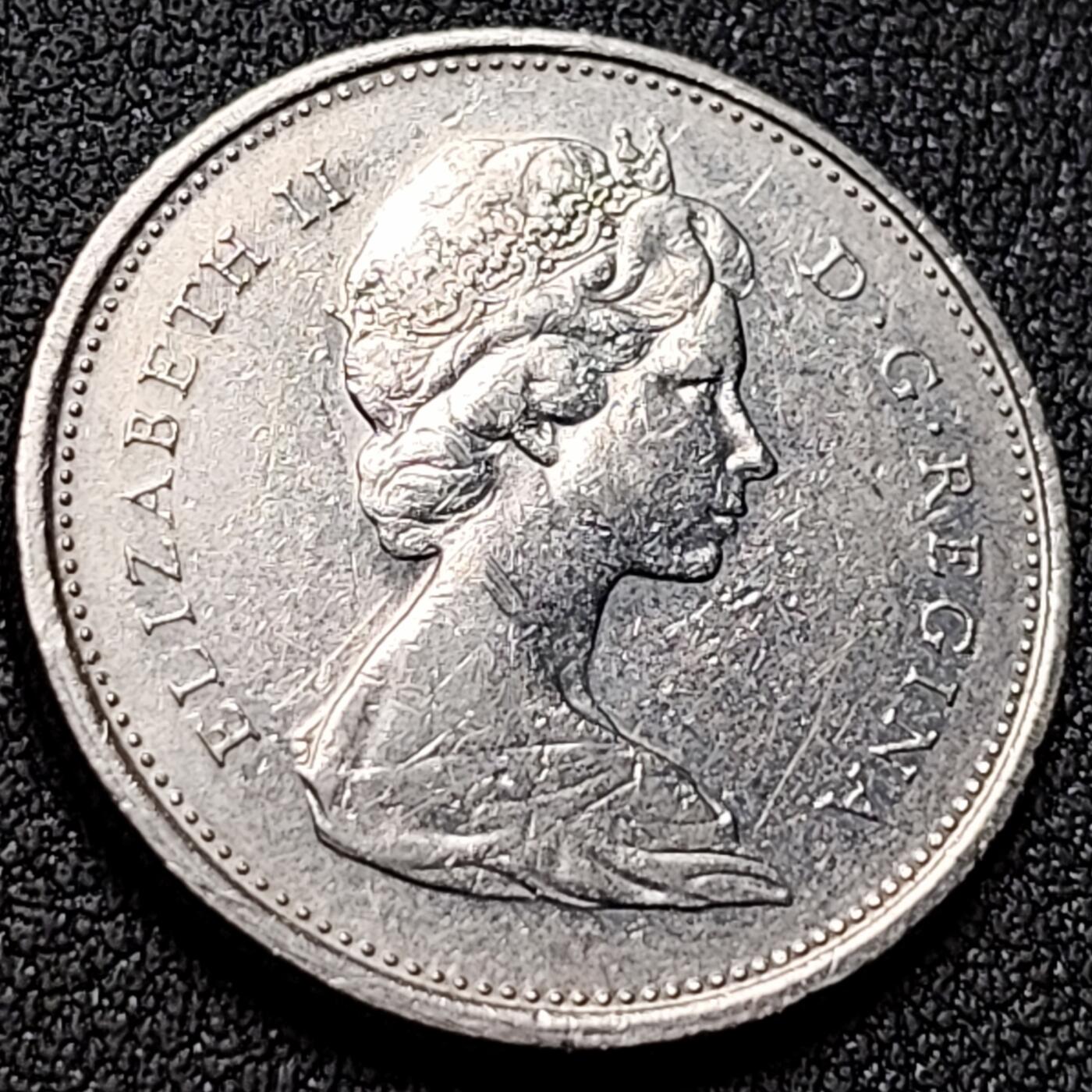 泉币菌-第142场-精品福利场 。