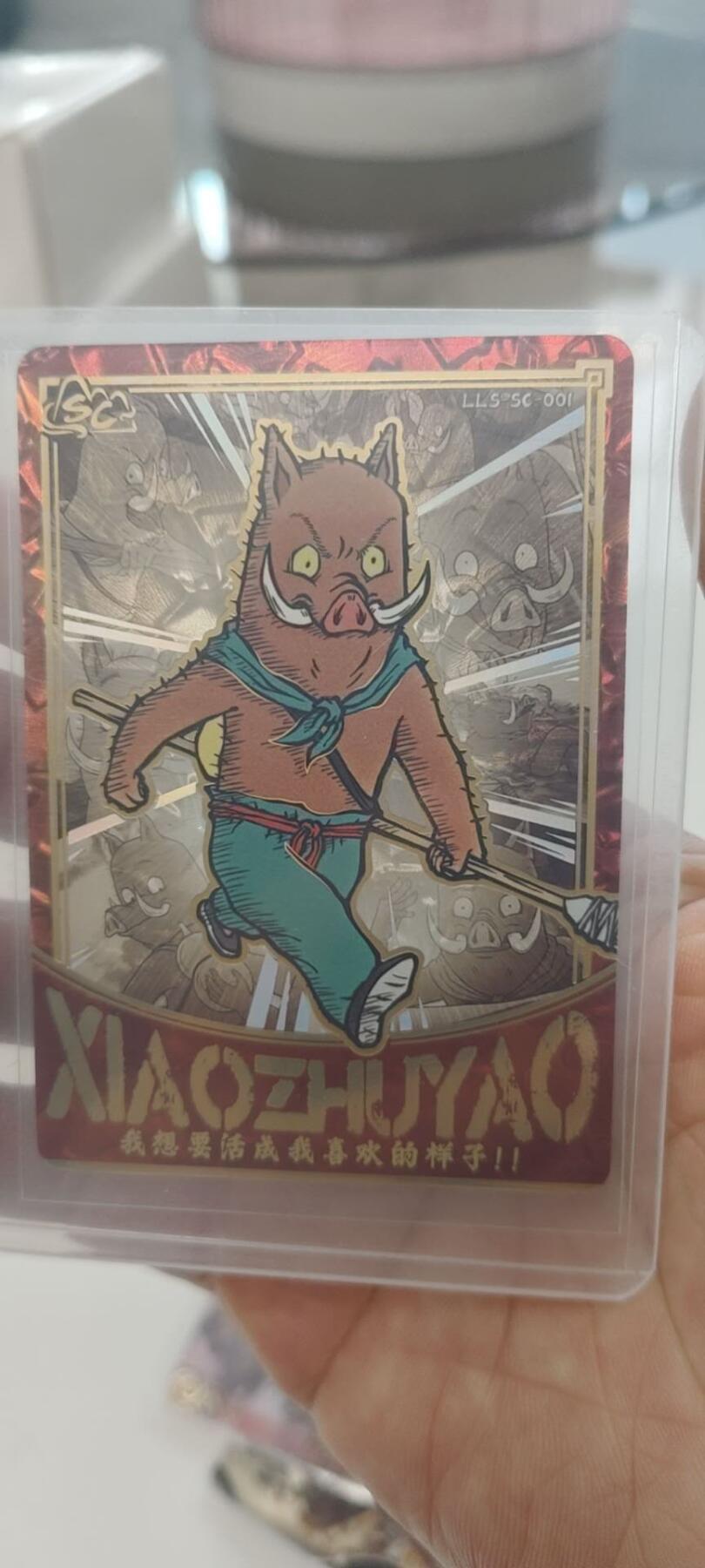 秋原瞳的小店第二十九期（持续收拍，今年的最后的一次旅行，期待在有雪的路上）