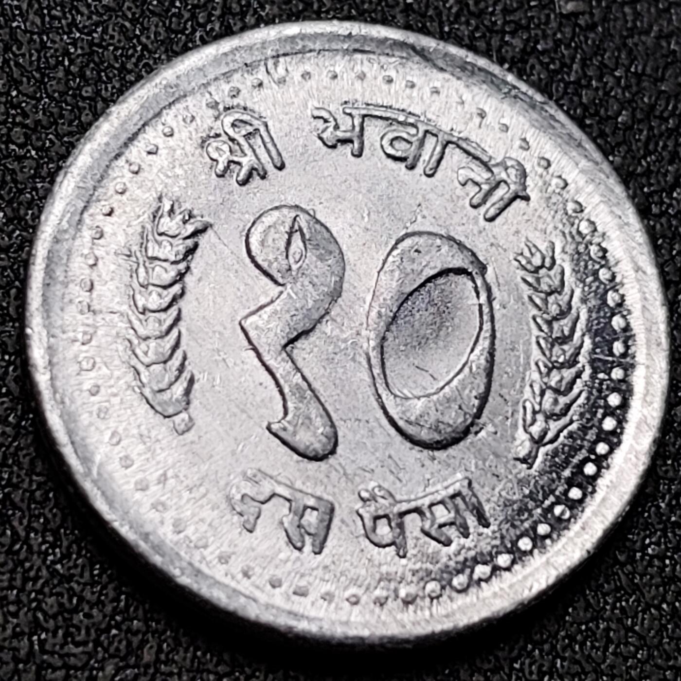 泉币菌-第145场-精品福利场 。