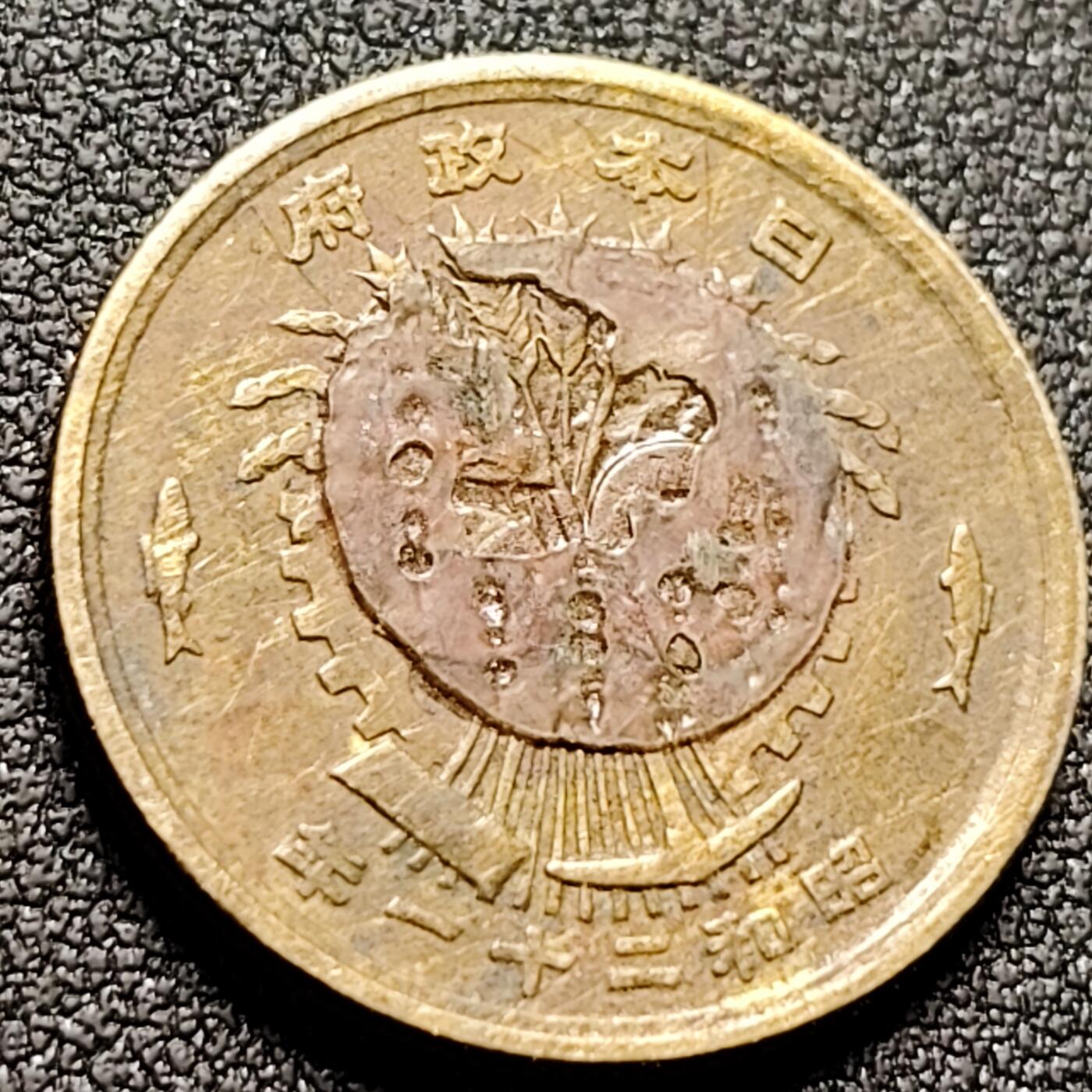 泉币菌-第143场-精品福利场 。