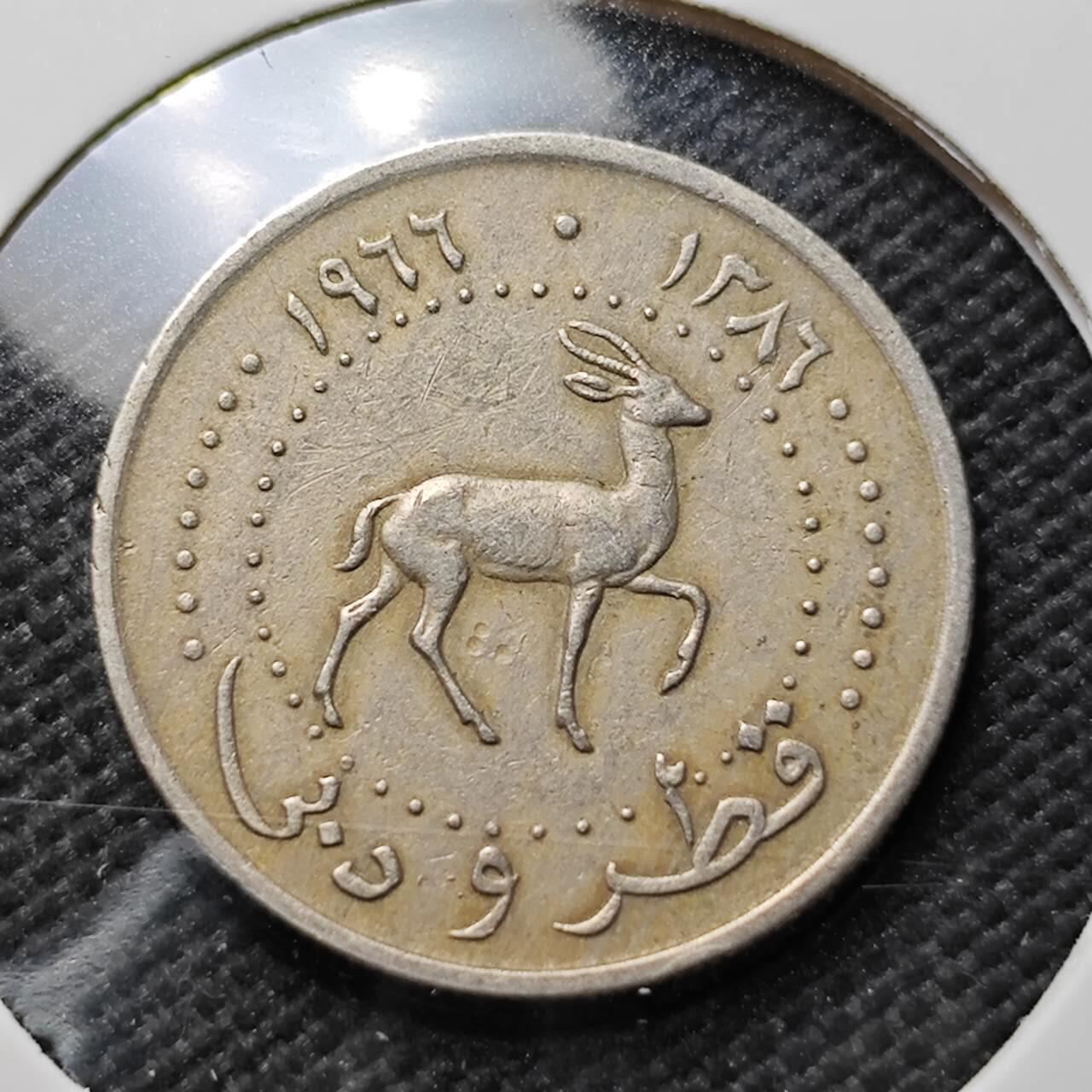 KK钱币收藏小铺 第376期  2月预留时间 周末发货