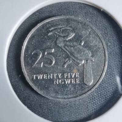 沼泽如烟--第927场 - 赞比亚1992年25恩韦