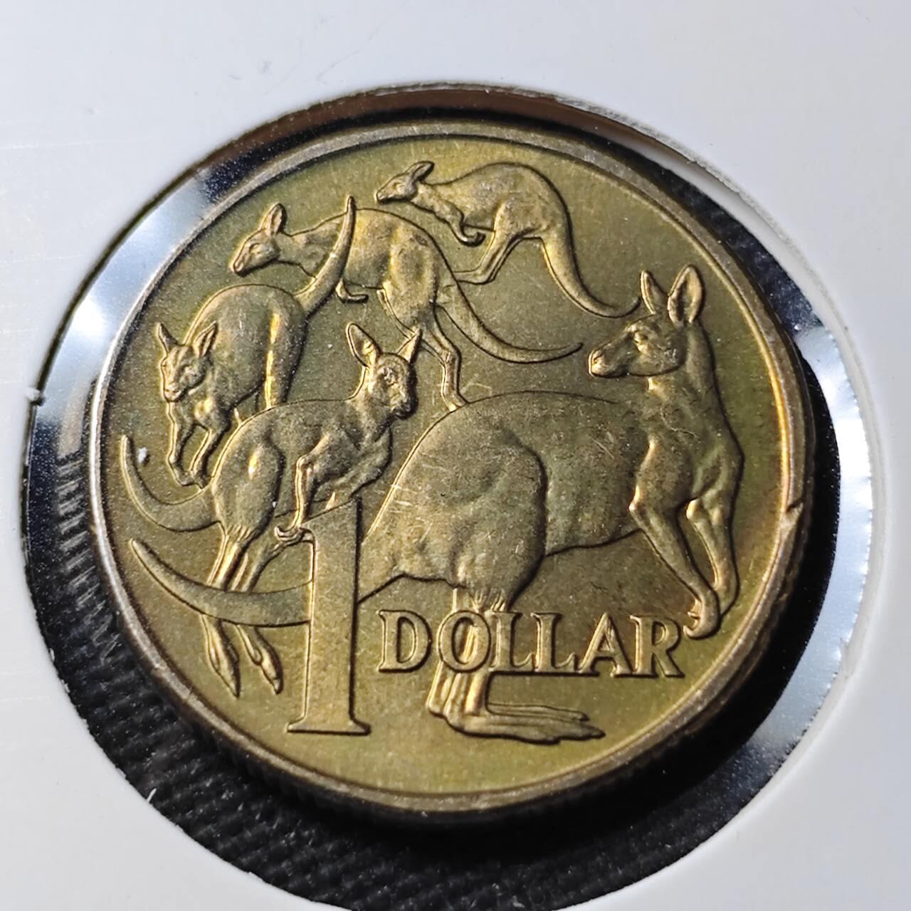 KK钱币收藏小铺 第377期  2月预留时间 周末发货