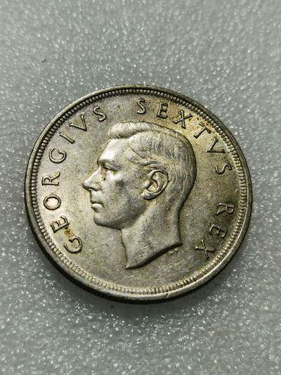 天下钱庄专场欢迎参拍 - 英属南非银币