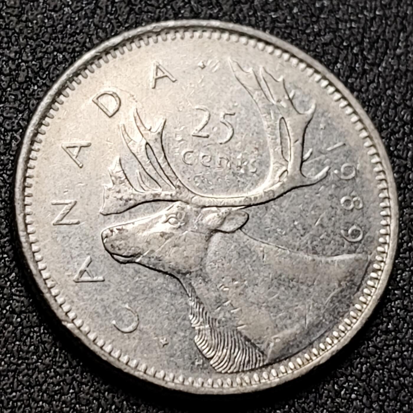 泉币菌-第144场-精品福利场 。