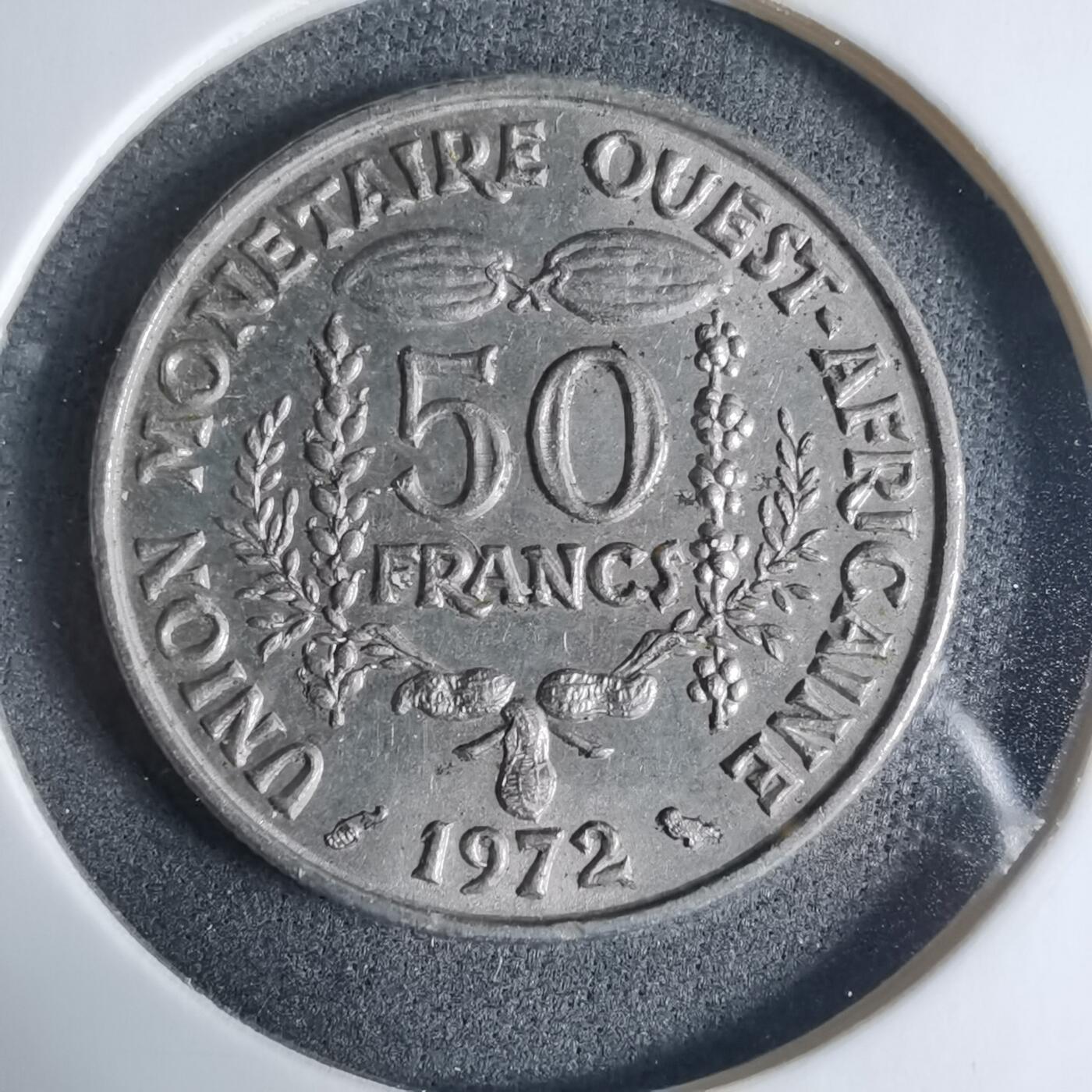 沼泽如烟--第927场