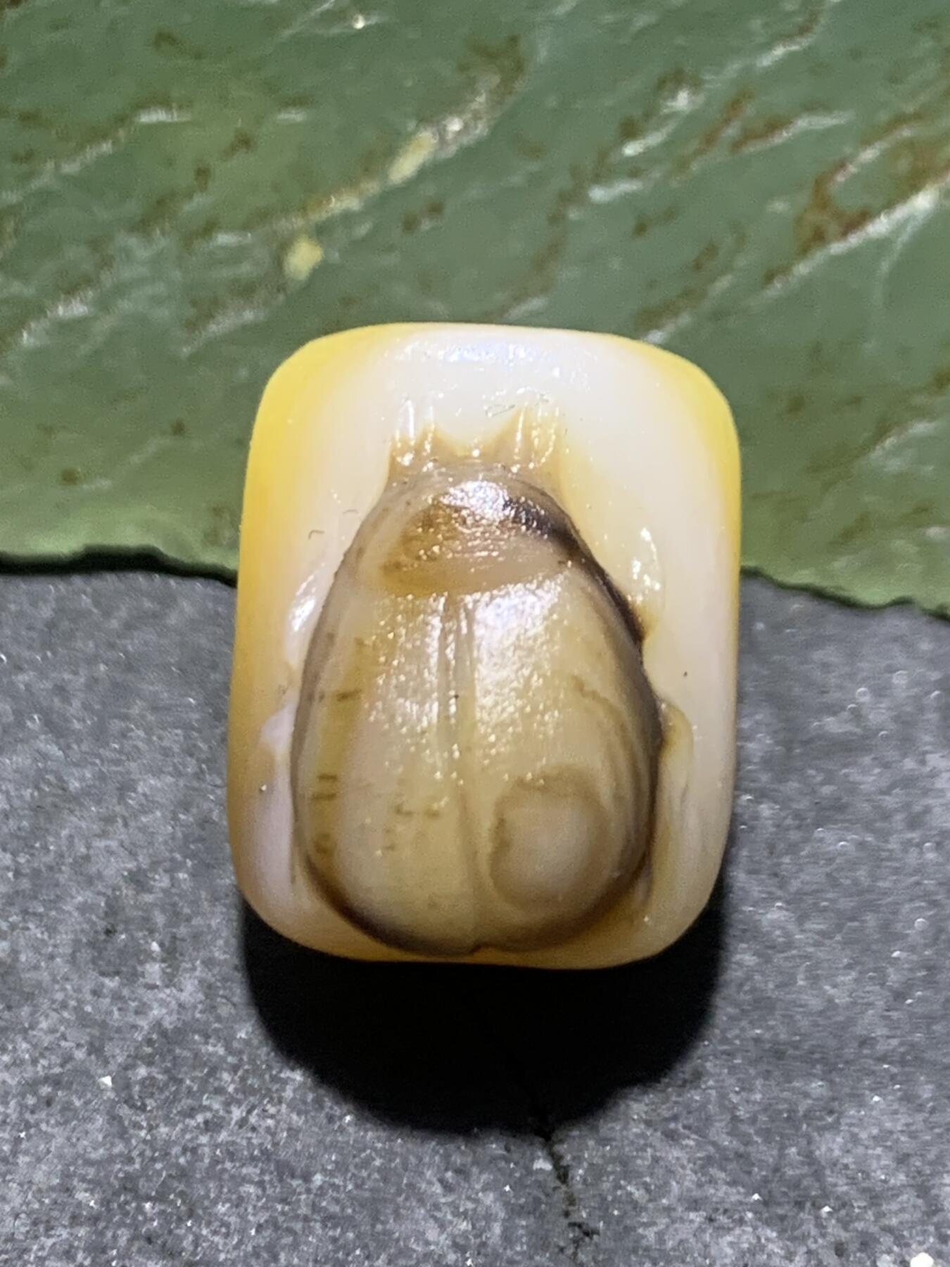 精美亚光高玉化海洋玉髓手工俏色巧雕甲壳虫直桶，桶珠一个！