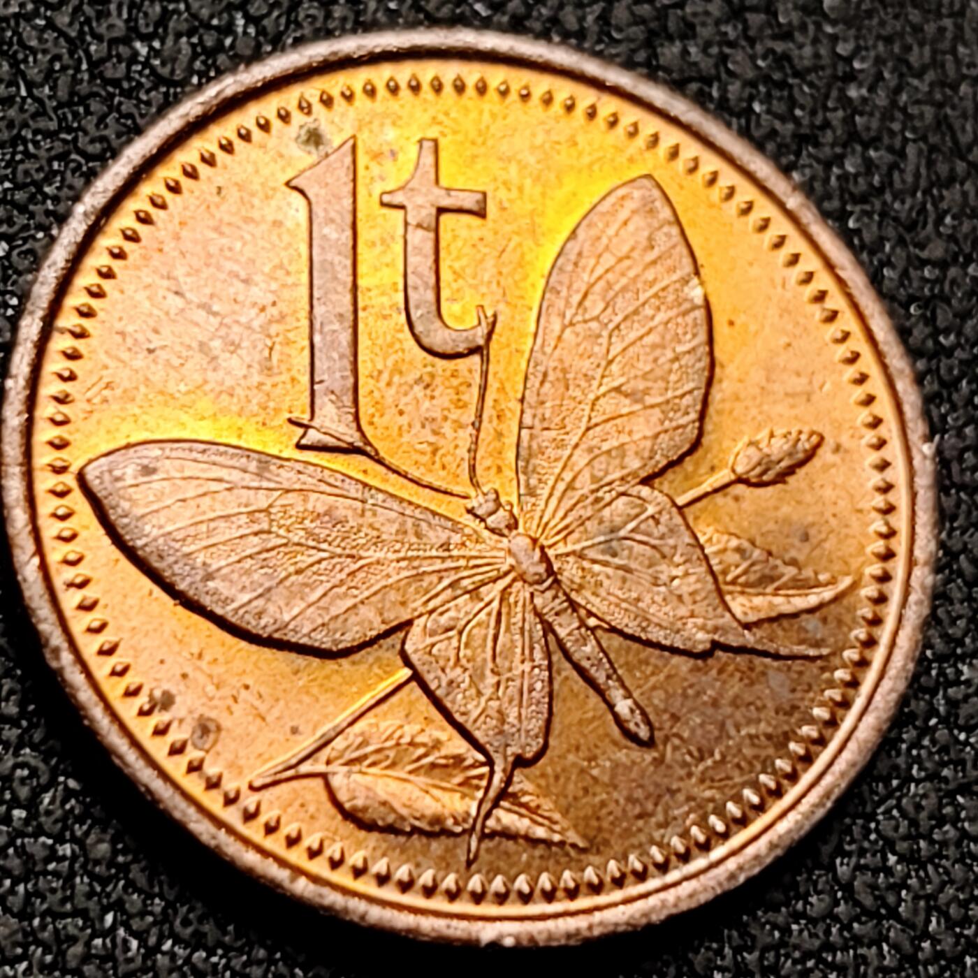 泉币菌-第143场-精品福利场 。