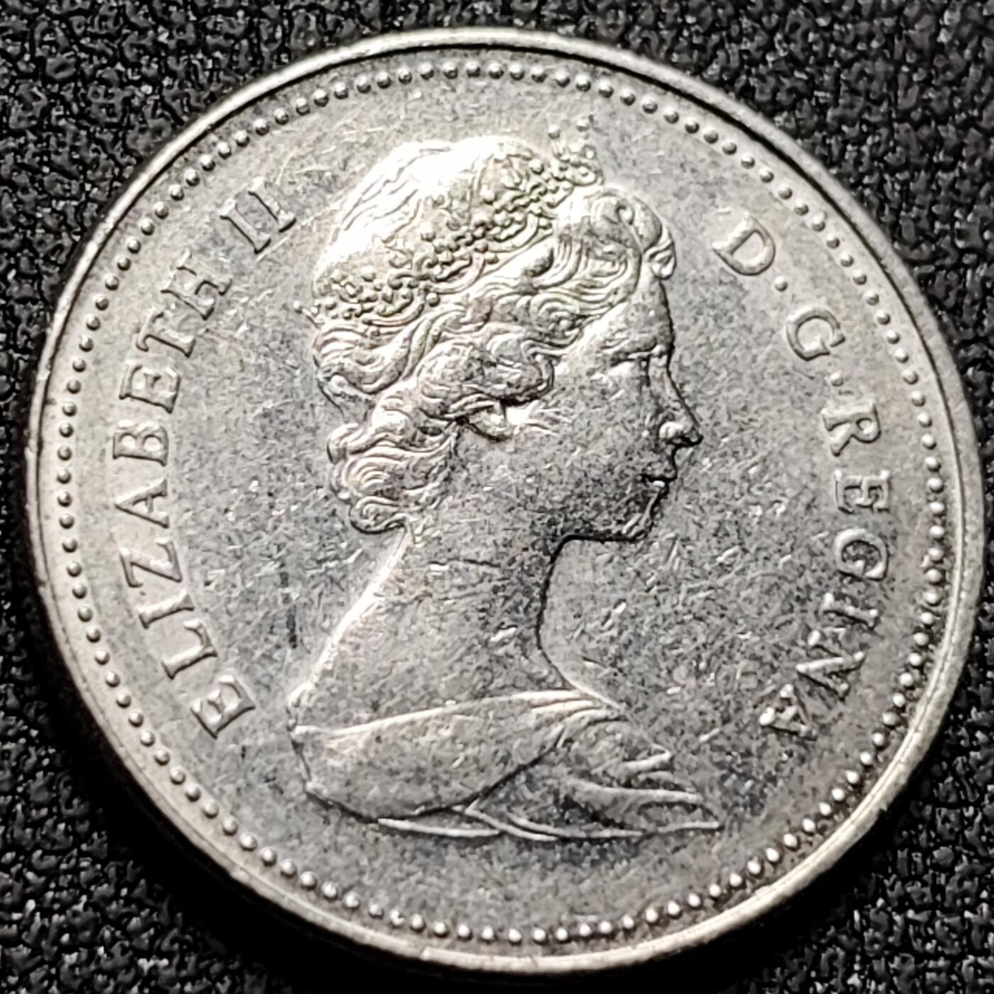 泉币菌-第144场-精品福利场 。