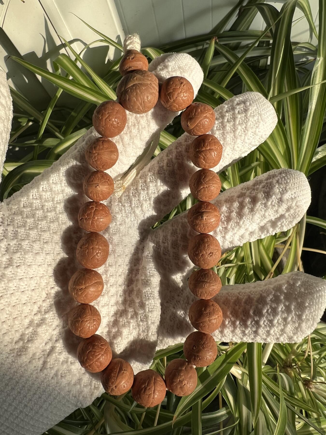 零元拍：凤眼单仓（媲美铁籽）大眼萌12MM左右念珠手串，今年新籽，皮质超棒。