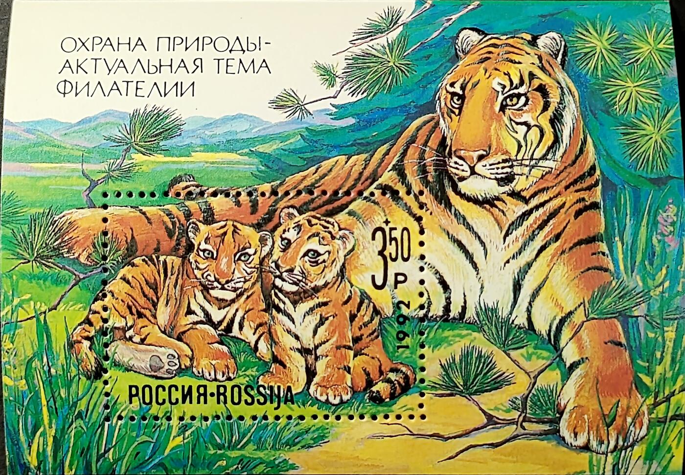 ↓君缘收藏676期☞钱币邮品↓无佣金、可寄存、满30元包邮  俄罗斯邮票，1992年自然保护 西伯利亚虎(东北虎)小型张