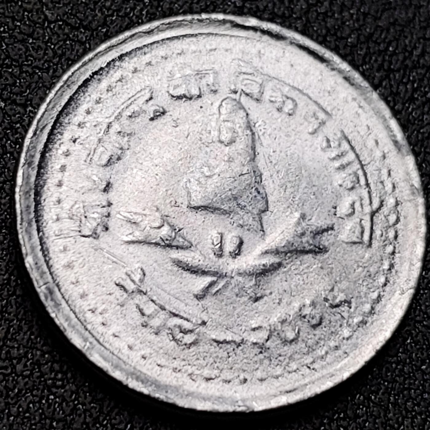 泉币菌-第145场-精品福利场 。