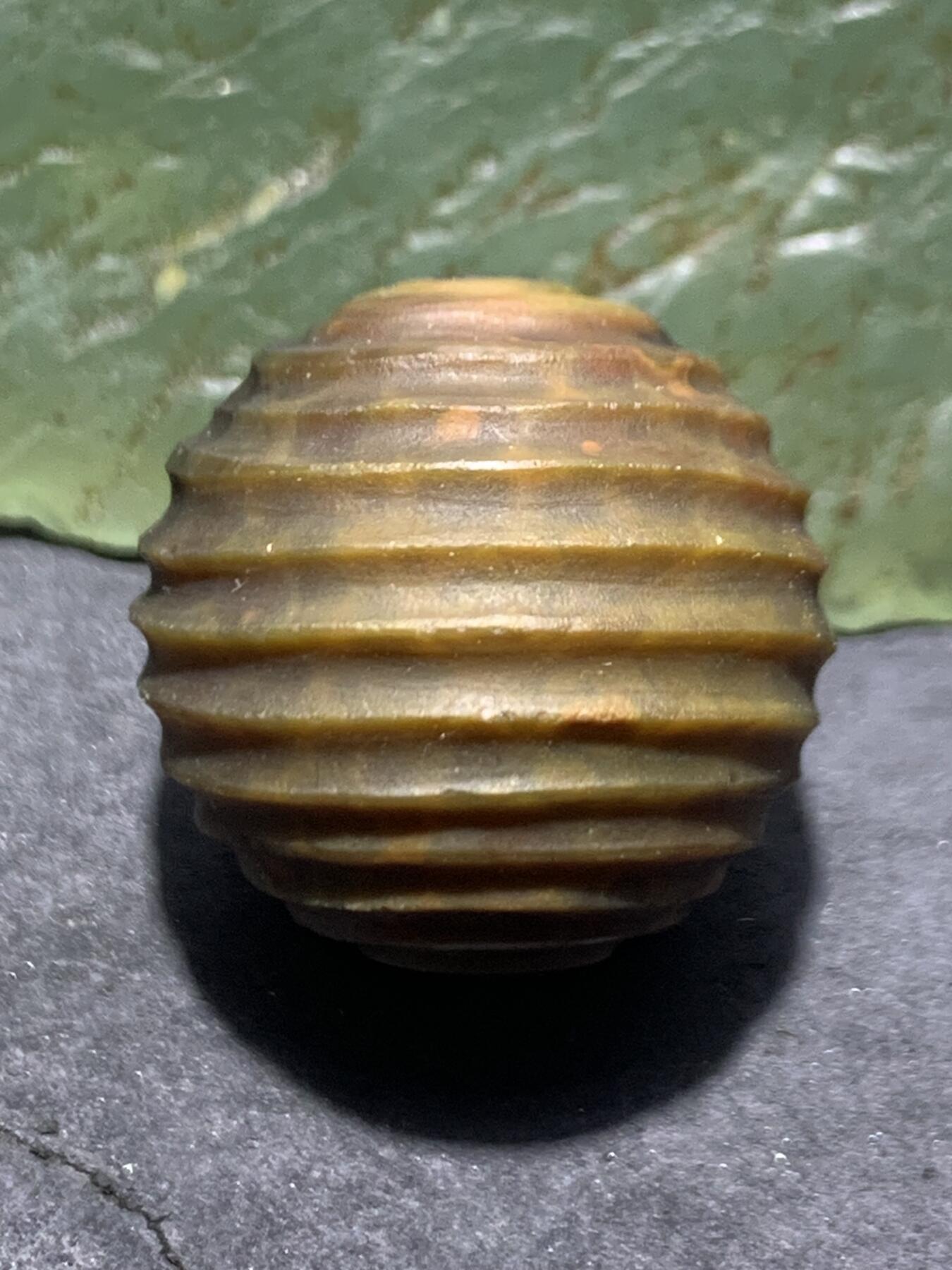 精美亚光战国红玛瑙手工雕刻转纹珠一颗！