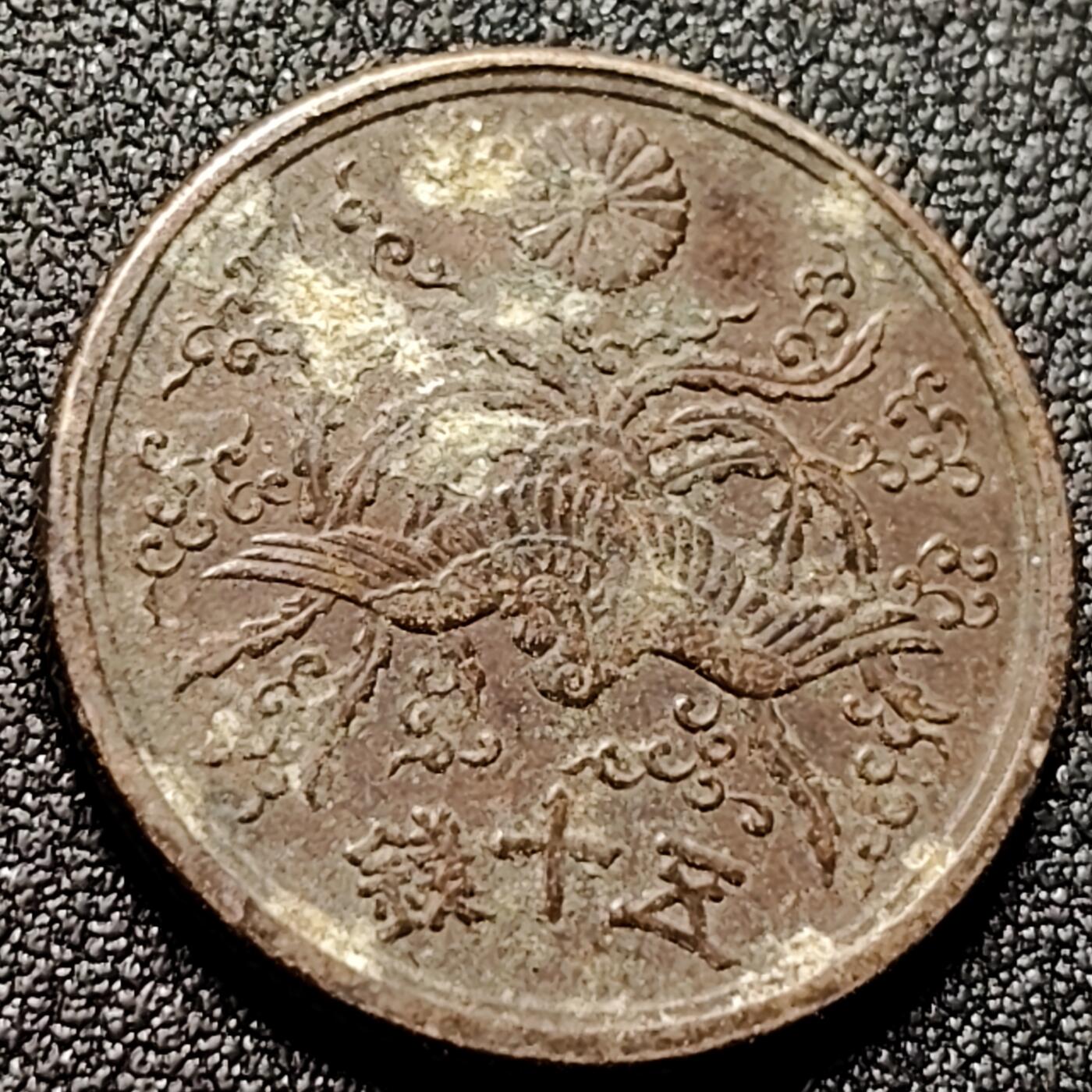 泉币菌-第144场-精品福利场 。