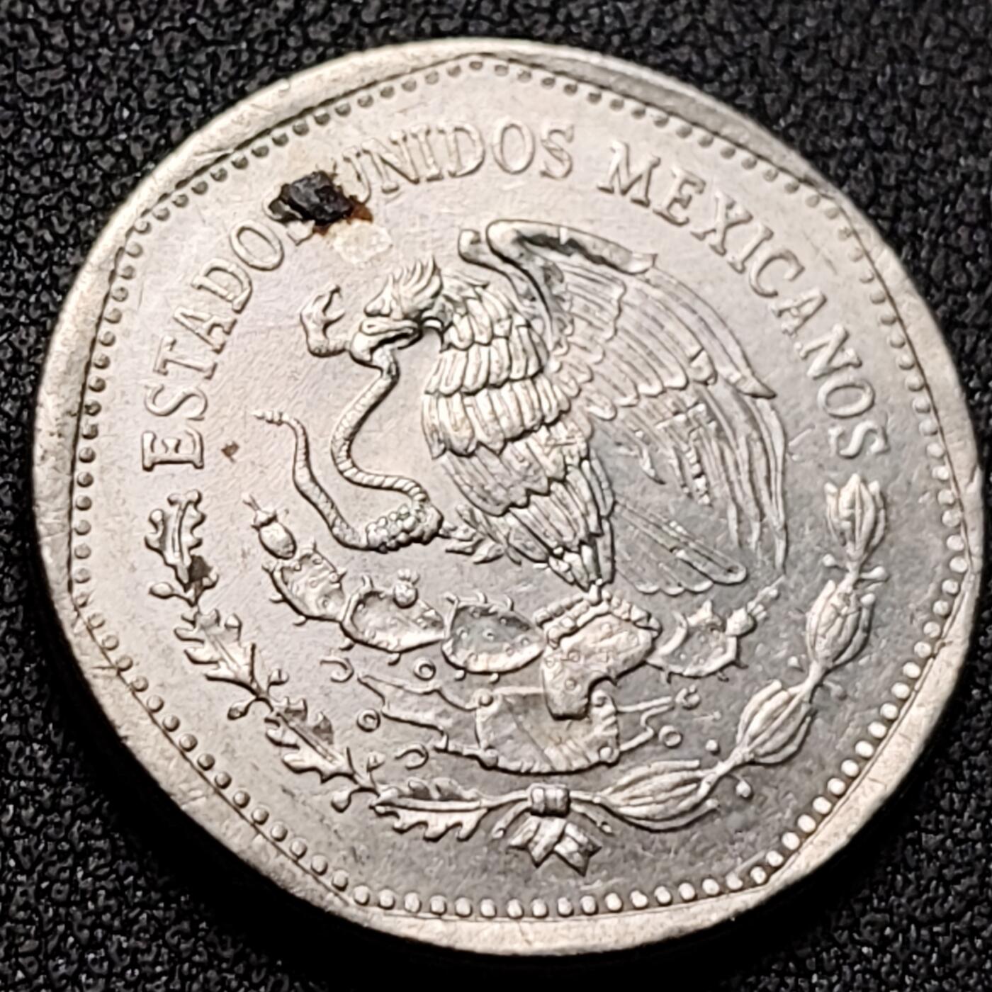 泉币菌-第143场-精品福利场