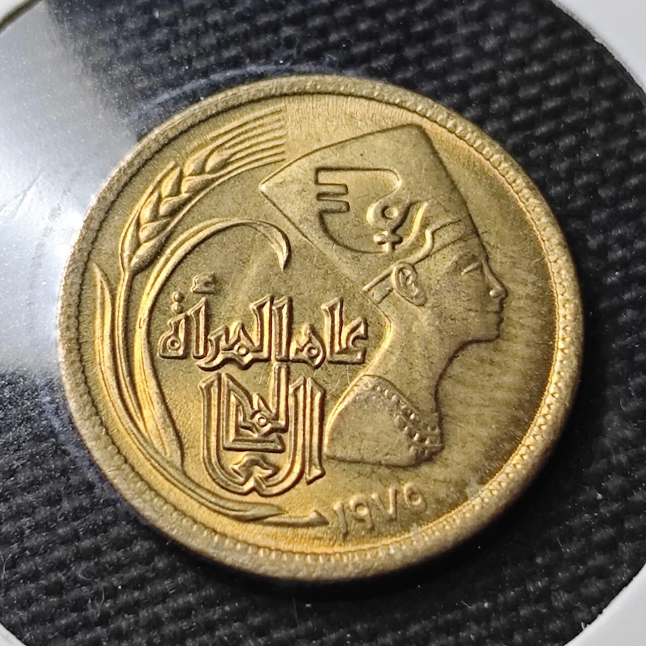 KK钱币收藏小铺 第377期  2月预留时间 周末发货