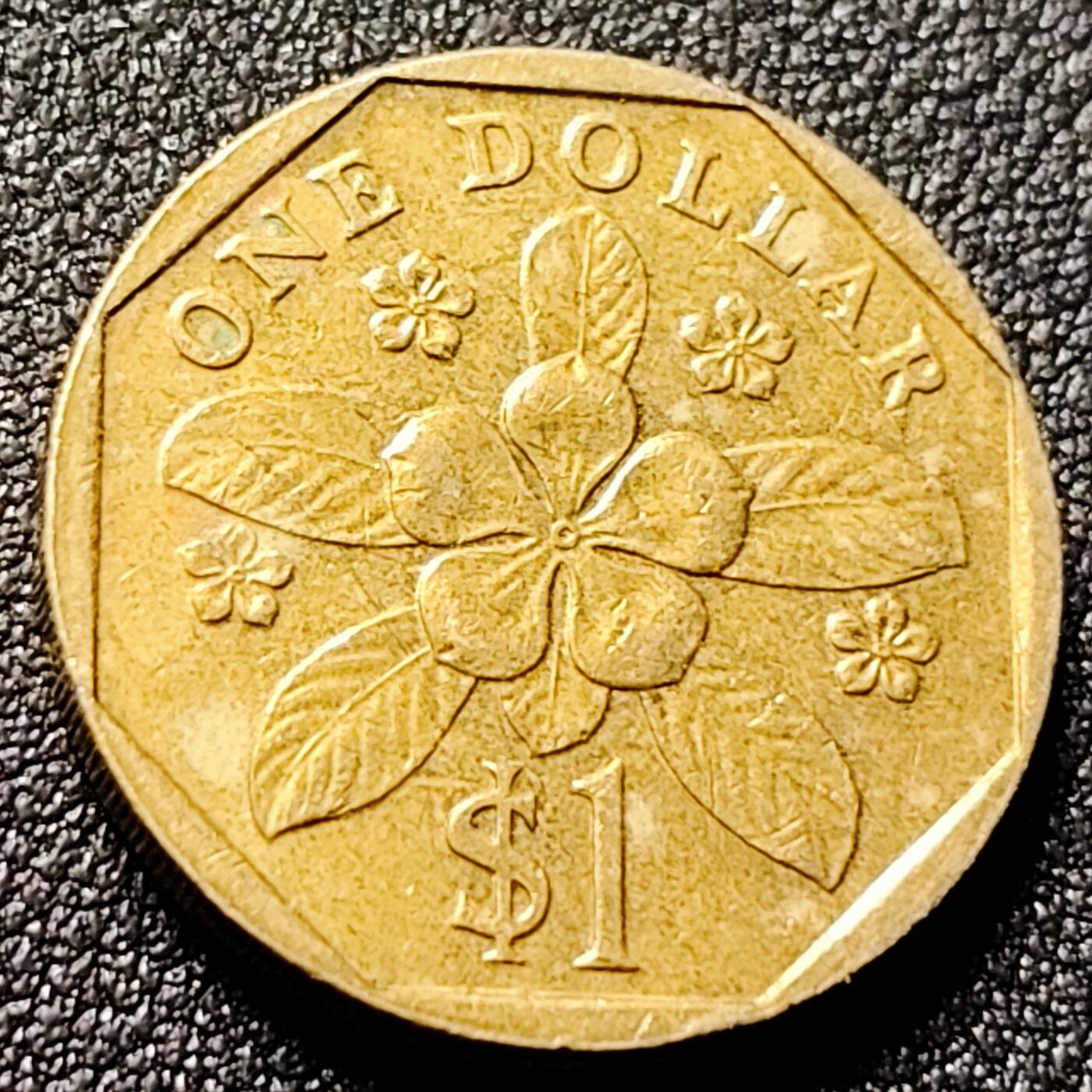 泉币菌-第144场-精品福利场 。