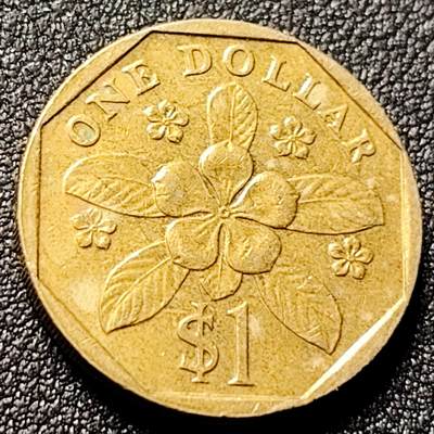 泉币菌-第144场-精品福利场 - 低盾卓锦万代兰胡姬花兰花 1989年 新加坡1圆黄铜硬币22mm6.3