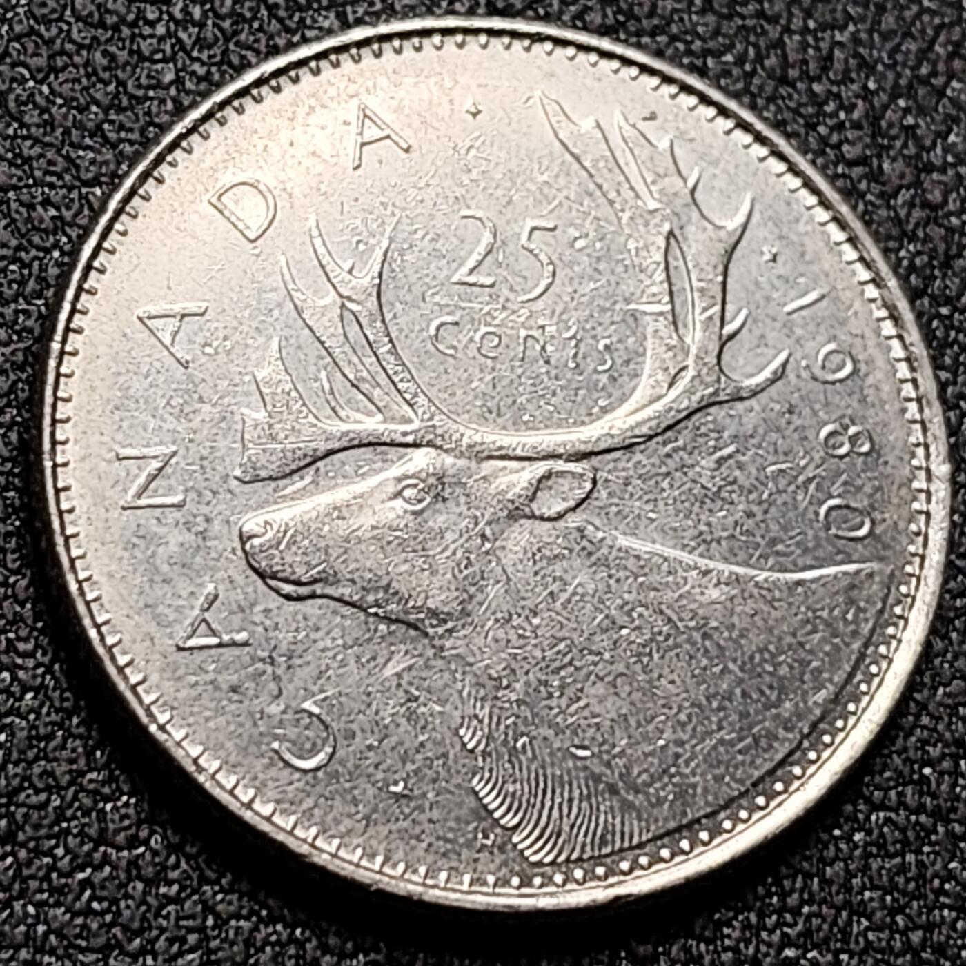 泉币菌-第144场-精品福利场 。