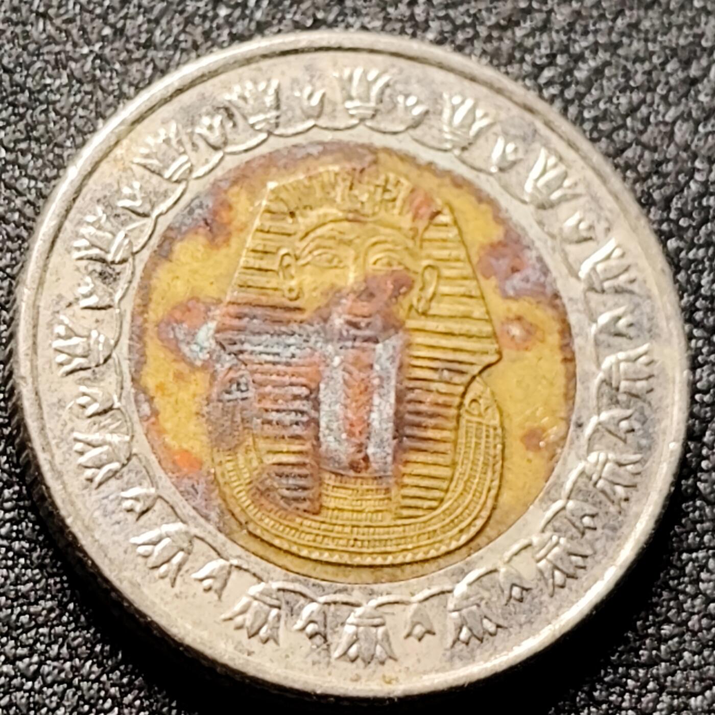 泉币菌-第144场-精品福利场 。